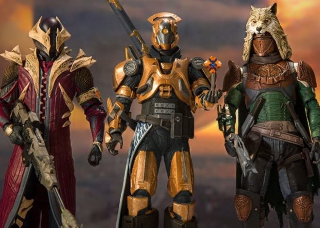 5 Best Destiny 2 Collectibles for Hardcore Fans