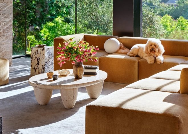 5 Design Ideas for a Pet-Friendly Condo Interior