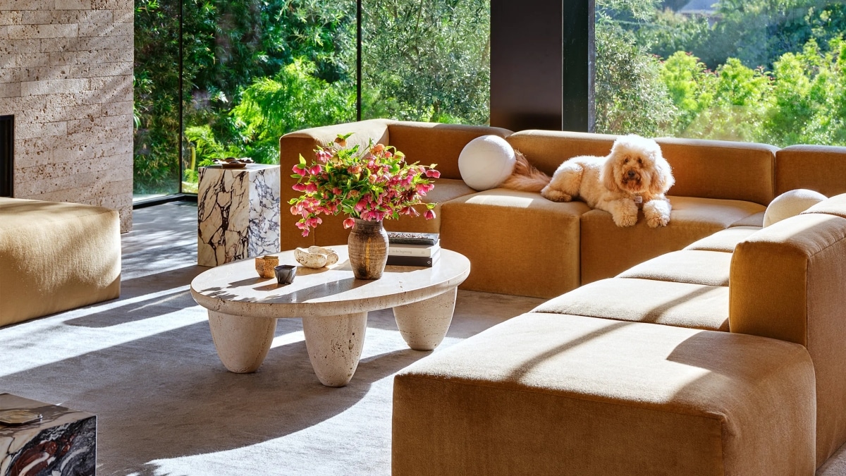 5 Design Ideas for a Pet-Friendly Condo Interior