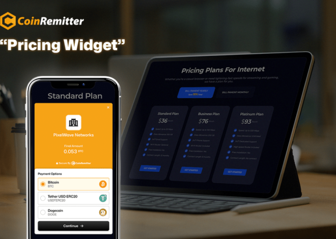 Coinremitter Announces New “Pricing Widget” Feature, a Convenient Crypto Payment Solution Without Coding