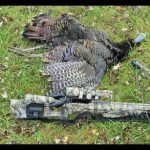 Finding Time for Crossbow Hunting with the Right Tools