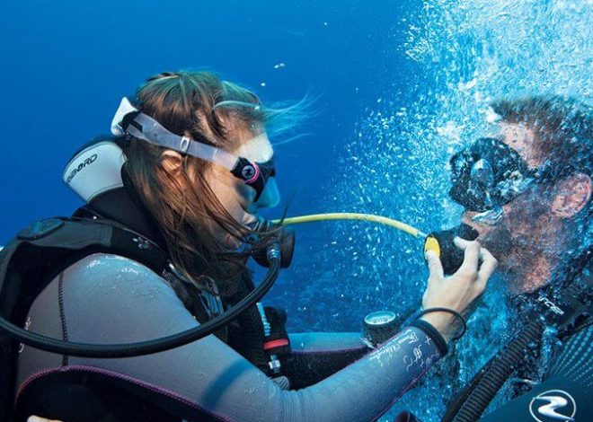 How Do You Choose the #1 Scuba Diving Charters Near Key West?