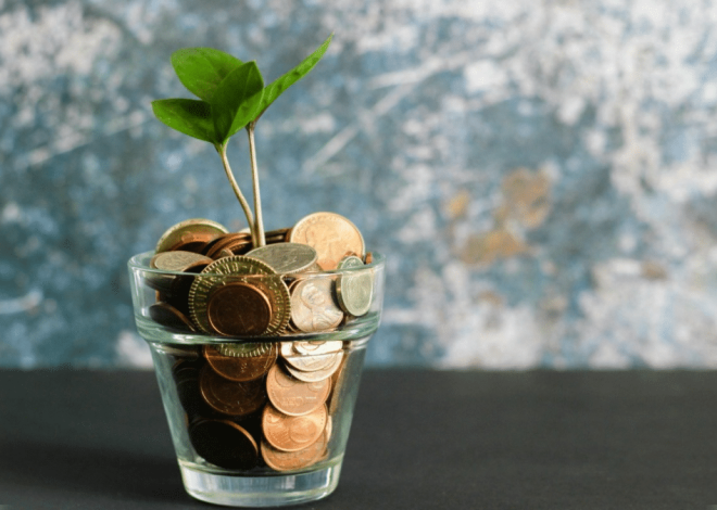 How to Organize  Your Funds: Strategies for Beginners