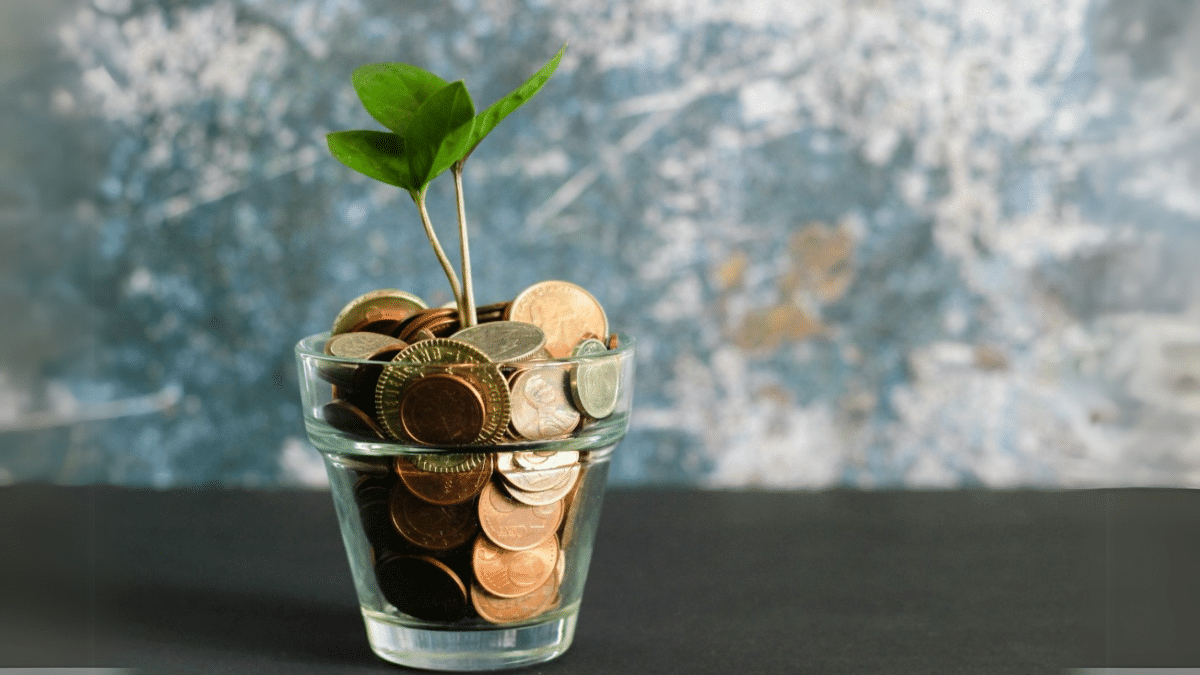 How to Organize  Your Funds: Strategies for Beginners