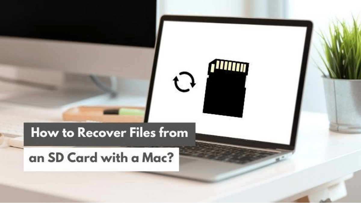 How To Recover Files From an SD Card With a Mac?