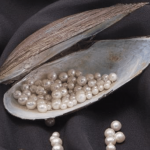 Natural vs. Cultured Pearls: Everything You Need to Know