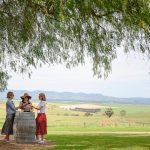 Pairing Gourmet Delights with Fine Wines on Taste The Barossa’s Culinary Wine Tours