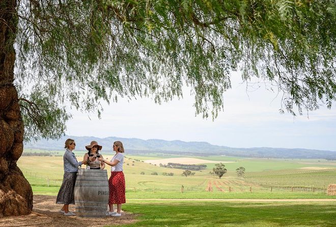 Pairing Gourmet Delights with Fine Wines on Taste The Barossa’s Culinary Wine Tours