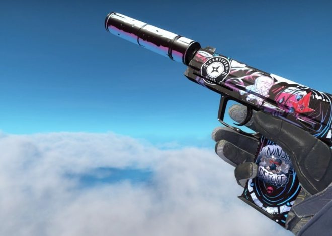 TOP 10 Best USP-S Skins in CS:GO and CS2